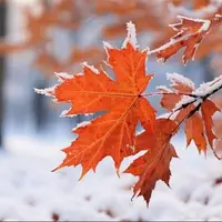 هشدار هواشناسی فارس؛ بارش گسترده برف و باران در سراسر استان