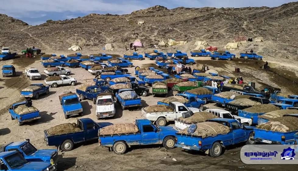 صفر شدن واردات گازوئیل مقطعی یا پایدار