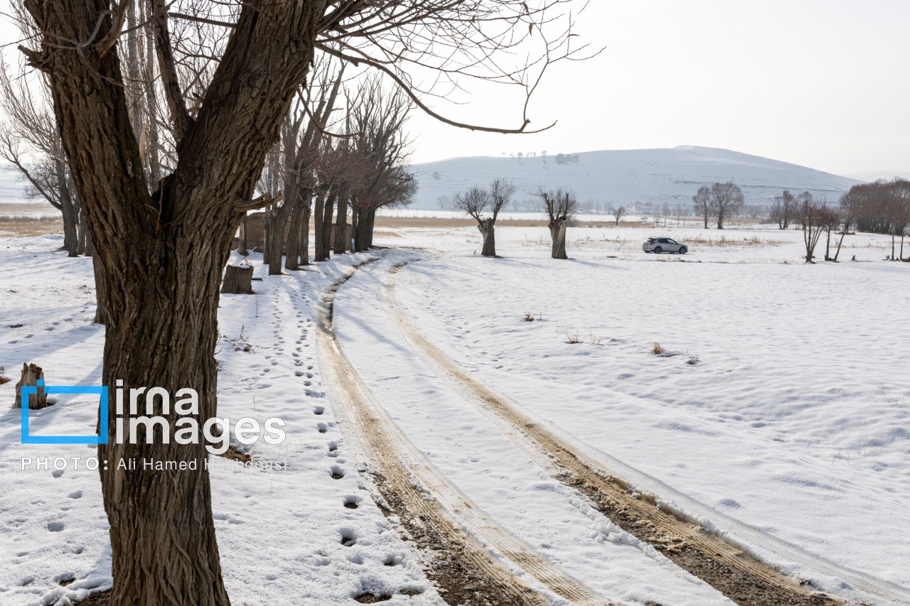 طبیعت برفی دامنه‌های سهند