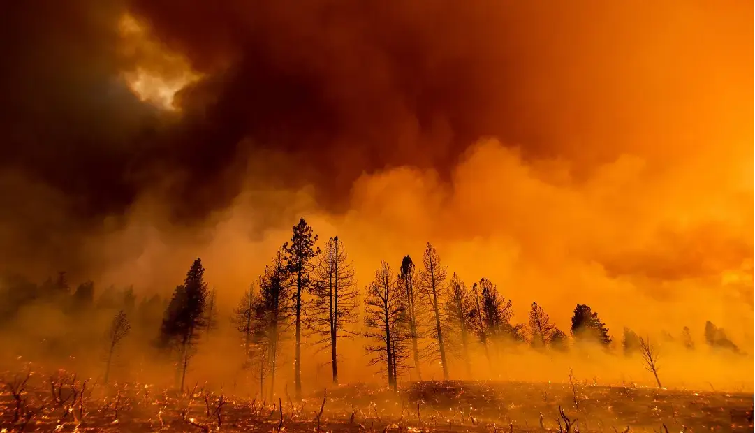 گرمایش زمین همچنان توقف‌ناپذیر؛ ۲۰۲۵ دومین سال گرم ثبت‌شده در تاریخ بود