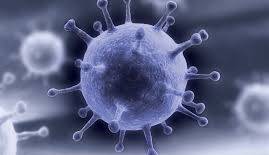 یک کودک، قربانی آنفلوانزا در کهگیلویه و بویراحمد