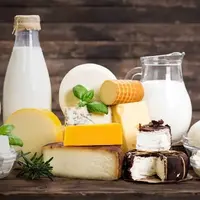 وعده معاون وزیر جهاد کشاورزی برای کاهش قیمت محصولات لبنی