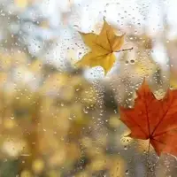 هشدار بارندگی در گیلان؛ دما تا ۱۲ درجه کاهش مییابد