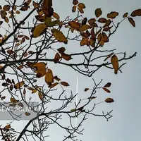 هوای برخی مناطق استان ایلام به زیر صفر رسید