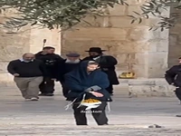 تعرض شهرکنشینان صهیونیست به مسجدالاقصی