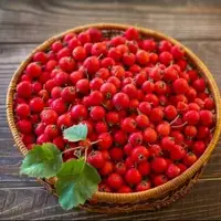 میوهای برای سلامت قلب و آرامش روان