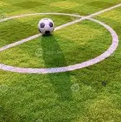 حواشی بازی پرسپولیس 1-0 آلومینیوم اراک