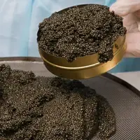 برداشت ۱۶۲ کیلوگرم خاویار از مزارع پرورش ماهی استان تهران