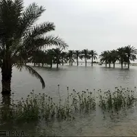 فعالیت موج بارشی قوی از روز چهارشنبه در خوزستان