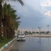 تداوم بارشهای رگباری باران و کاهش دما در استان بوشهر