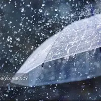 جزئیات بارشها در استان بوشهر؛ وقوع بیشترین بارندگی در عسلویه