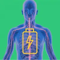 عواملی که در تنظیم سطح انرژی بدن تاثیر گذار هستند