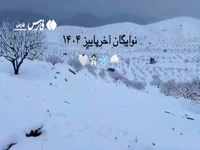 فیلم/ بارش برف تعدادی از روستاهای داراب را سپیدپوش کرد
