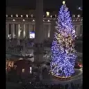 مراسم افتتاح درخت کریسمس در میدان سن پیتر واتیکان