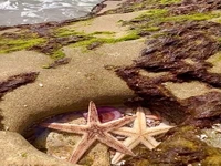 یکی از زیباترین و زلال ترین جزیره ایران