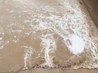 شیراز بارانی؛ رودخانۀ خشک پُرآب شد