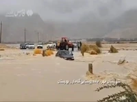 نجات راننده پژو در سیلاب استان فارس