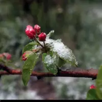 هشدار هواشناسی کشاورزی در سمنان؛ بهرهبرداران برای ناپایداریهای جوی آماده باشند