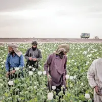 نفرین تریاک در ایران