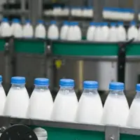 انتشار نامه سرگشاده خطاب به رئیسجمهور؛ صنایع لبنی طلبکار شدند!