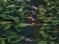 سفر بر رودخانه های ویتنام با قایق سبدی