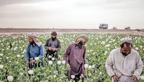 نفرین تریاک در ایران