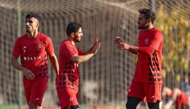 شاهمحمدی: علیپور به تنهایی کارساز نیست