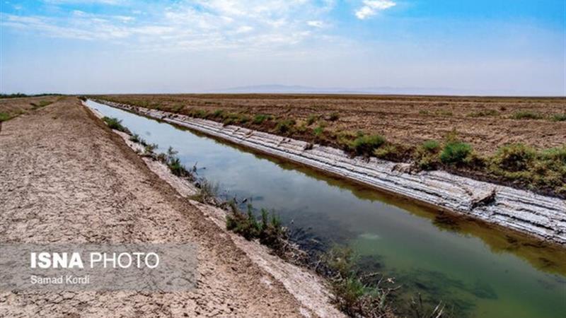 تالاب صالحیه اولویت اول زیستمحیطی البرز/ حذف زهکش، شرط اصلی احیای تالاب