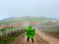 یلاق سوباتان؛ نگین سبز گیلان و اردبیل