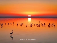 غروبِ زیبای میانکاله