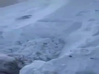 تصاویری از سنگینی عجیب برف در کرمان که گوسفندان را دفن کرده است