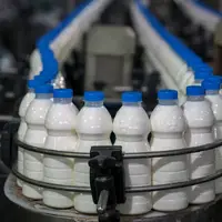 صادرات فرآوردههای لبنی اسلامشهر به ۶ کشور