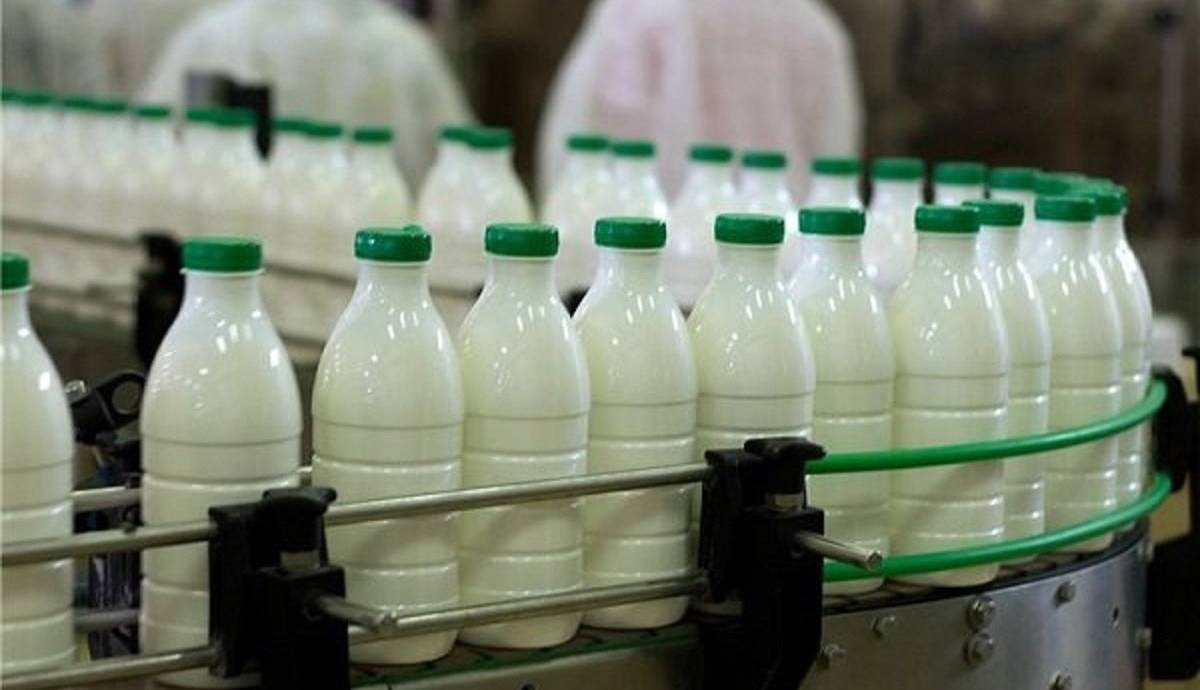 محصولات لبنی ارزان میشوند؟