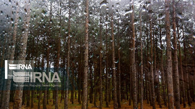 بارش ۱۳.۴ میلیمتری باران در چادرملو اردکان