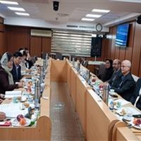 راههای همکاری میان ایران و دانشگاه علوم پزشکی جنوب چین بررسی شد