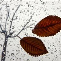 ثبت ۲۳ میلیمتر باران در آبدانان