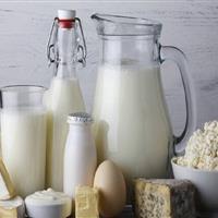 کاهش ۳۰ درصدی خرید محصولات لبنی در خراسان شمالی