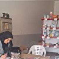 رزمایش سراسری پایش و کنترل واحدهای عرضه آفتکشهای کشاورزی