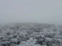 روز برفی جنگل فندقلو در اردبیل