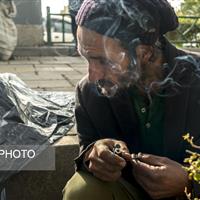 سیستم "پاداش" در مغز معتادان چگونه کار می کند؟