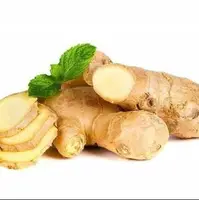 زنجبیل برای مزاج گرم و تر