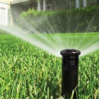 آموزش تغذیه گندم آبی؛ با تمرکز بر نوآوری و افزایش بهرهوری در دهلران