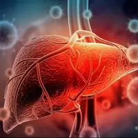 چشمانداز تازه درمان بیماریهای کبدی با کمک سلولهای بنیادی