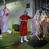 کشتارگاه بجنورد، درآمد روزانه چندصد میلیونی و اجاره سرسامآور برای بهرهبردار