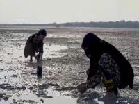 مادر مهربانیهای سهیلی و بانوی سبز حراهای قشم آسمانی شد