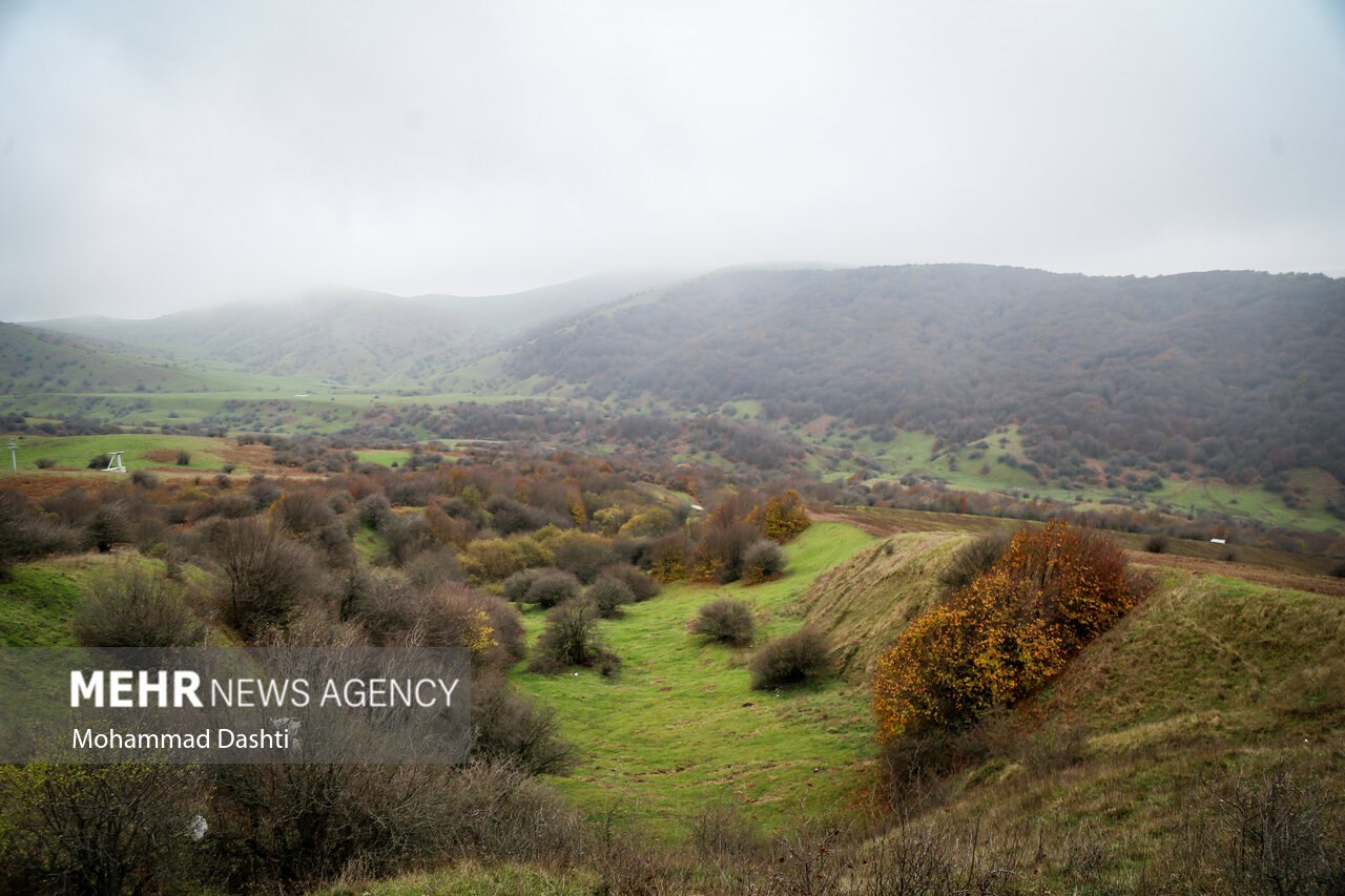 پاییز در جنگل فندقلو نمین