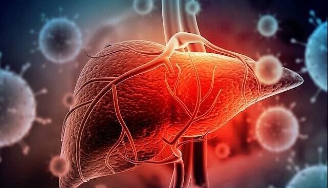 چشمانداز تازه درمان بیماریهای کبدی با کمک سلولهای بنیادی