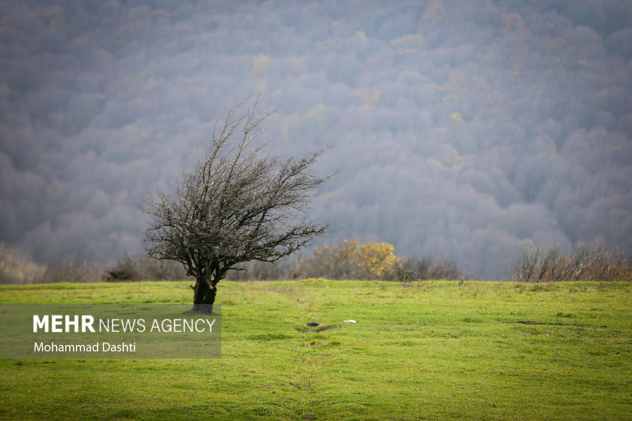 پاییز در جنگل فندقلو نمین