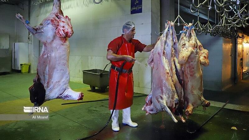 کشتارگاه بجنورد، درآمد روزانه چندصد میلیونی و اجاره سرسامآور برای بهرهبردار