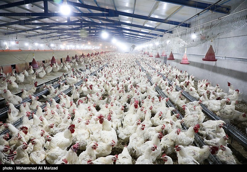 سفروزیر جهاد کشاورزی به قم